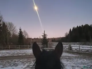 stallplats Stallplatser för dig som vill sköta dig själv i Trollhättan - Annons 4