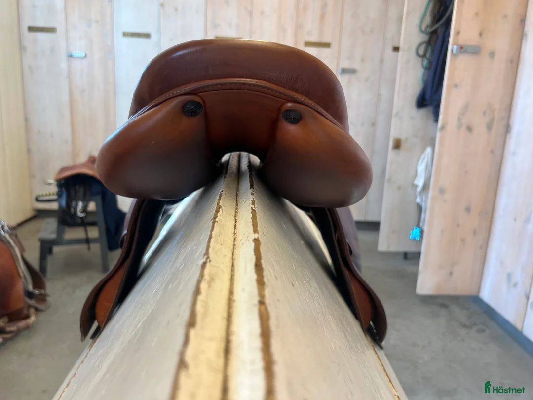 Sadlar hästutrustning till salu: Renaissance 17” 32 Bom i Lidingö - Annons 5