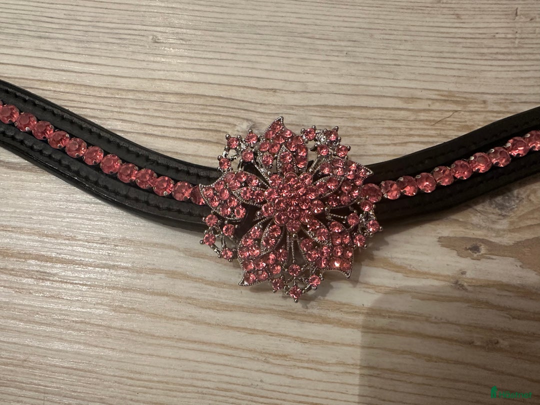 Övrig Hästutrustning hästutrustning till salu: Unika pannband till häst och ponny i Bro - Annons 8