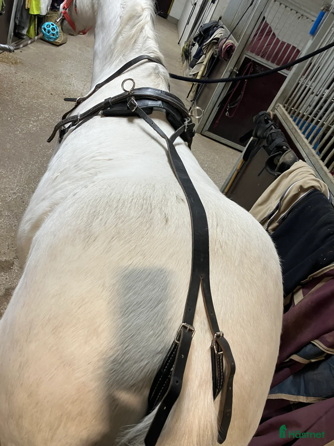 Körselar körning till salu: Bröstsele stl full i Vintrosa - Annons 6