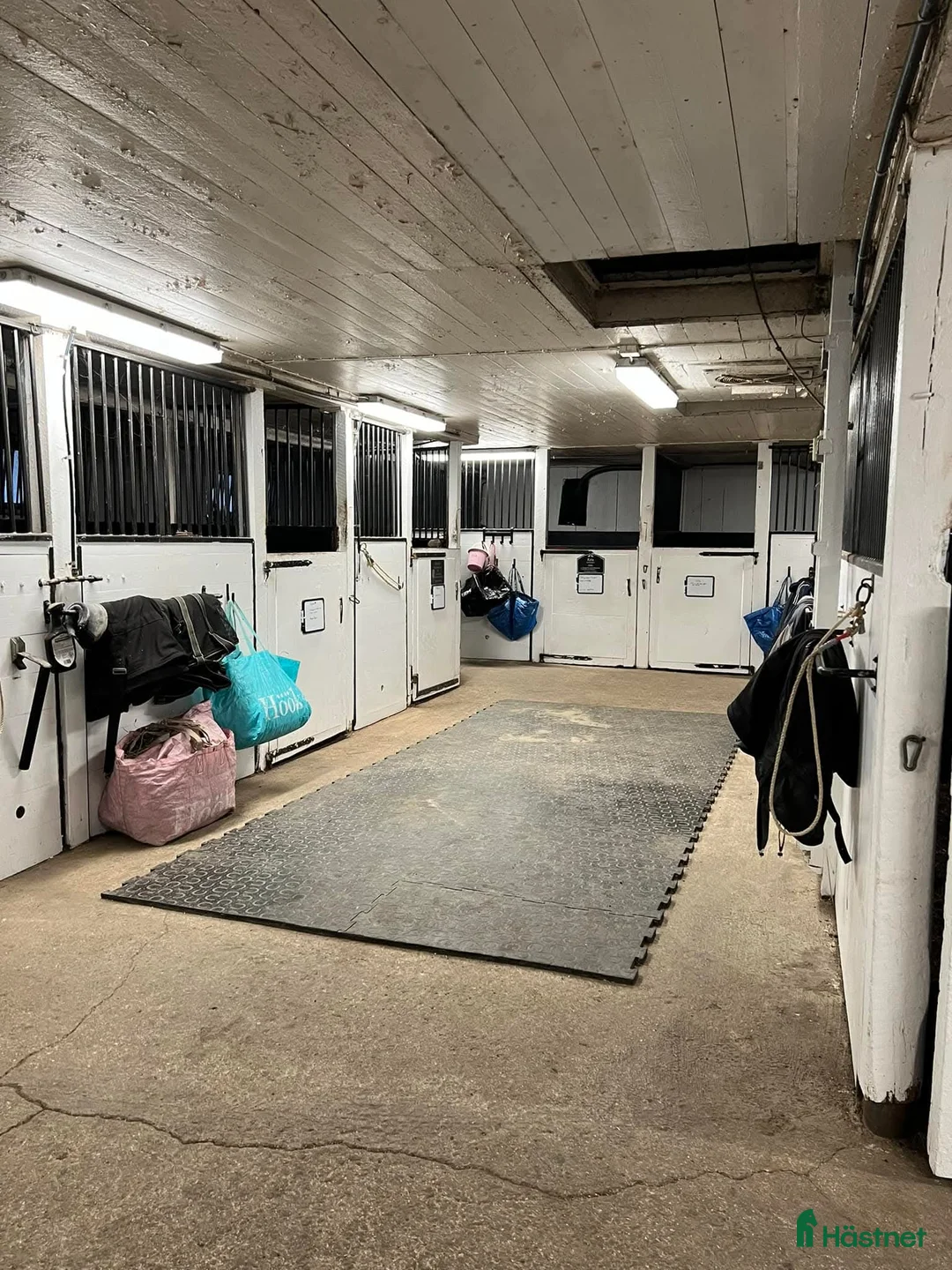  stallplats finnes: Stallplats för islandshäst Rö/Rimbo! i Rö - Annons 10