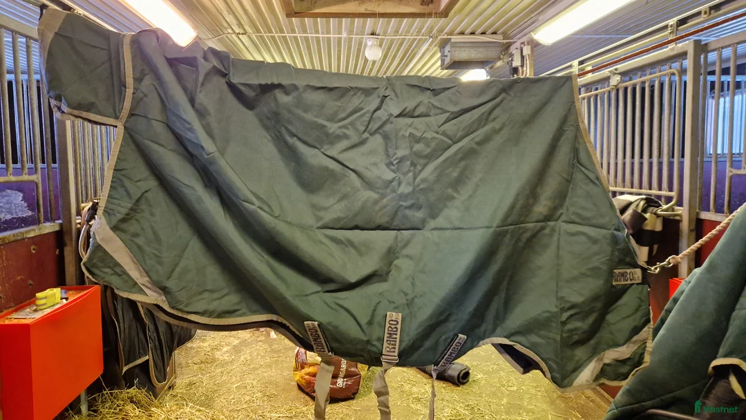 Täcken hästutrustning till salu: Rambo original regntäcke med V-FRONT 0g i Luleå - Annons 2