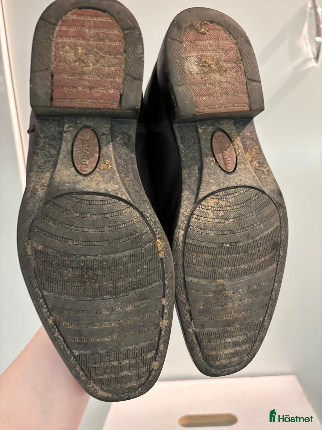 Ridstövlar ryttarutrustning till salu: Ridstövlar storlek 37. Cavallo i Stockholm - Annons 6