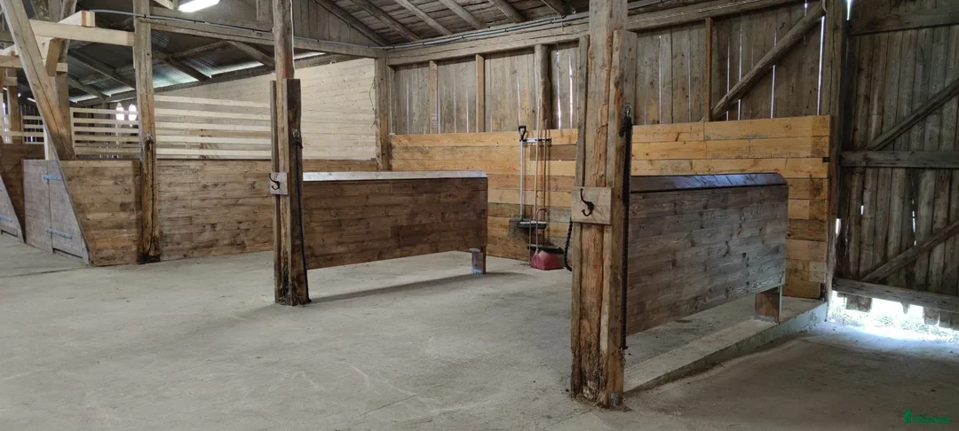  stallplats finnes: 1st Boxplats ledig Kollektivt eller Fullservice - Annons 5