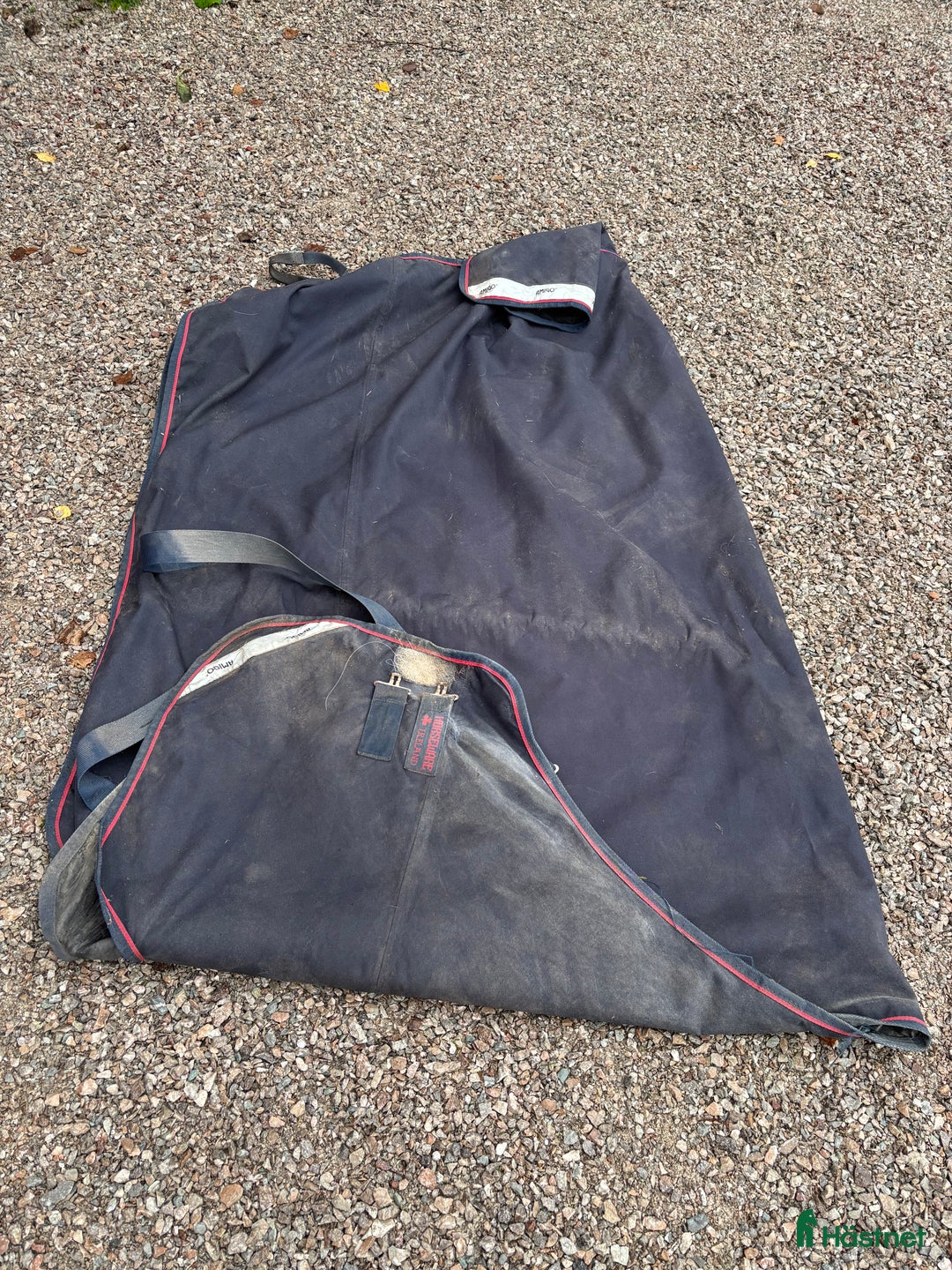 Täcken hästutrustning till salu: Amigo XL Lite i Sollerön - Annons 5