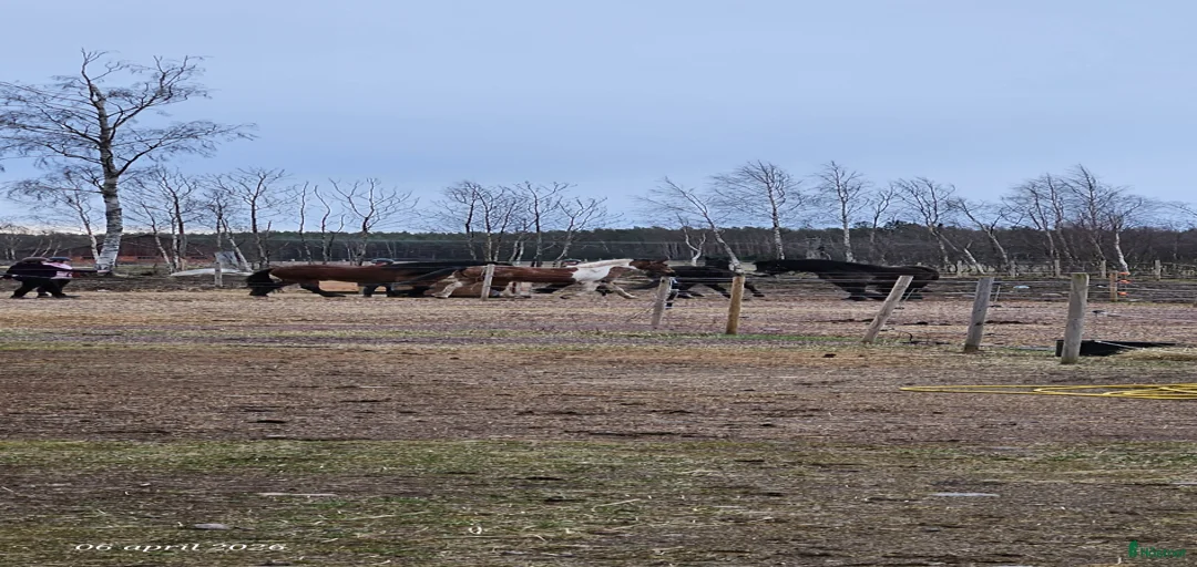 Galleribild {{count}}