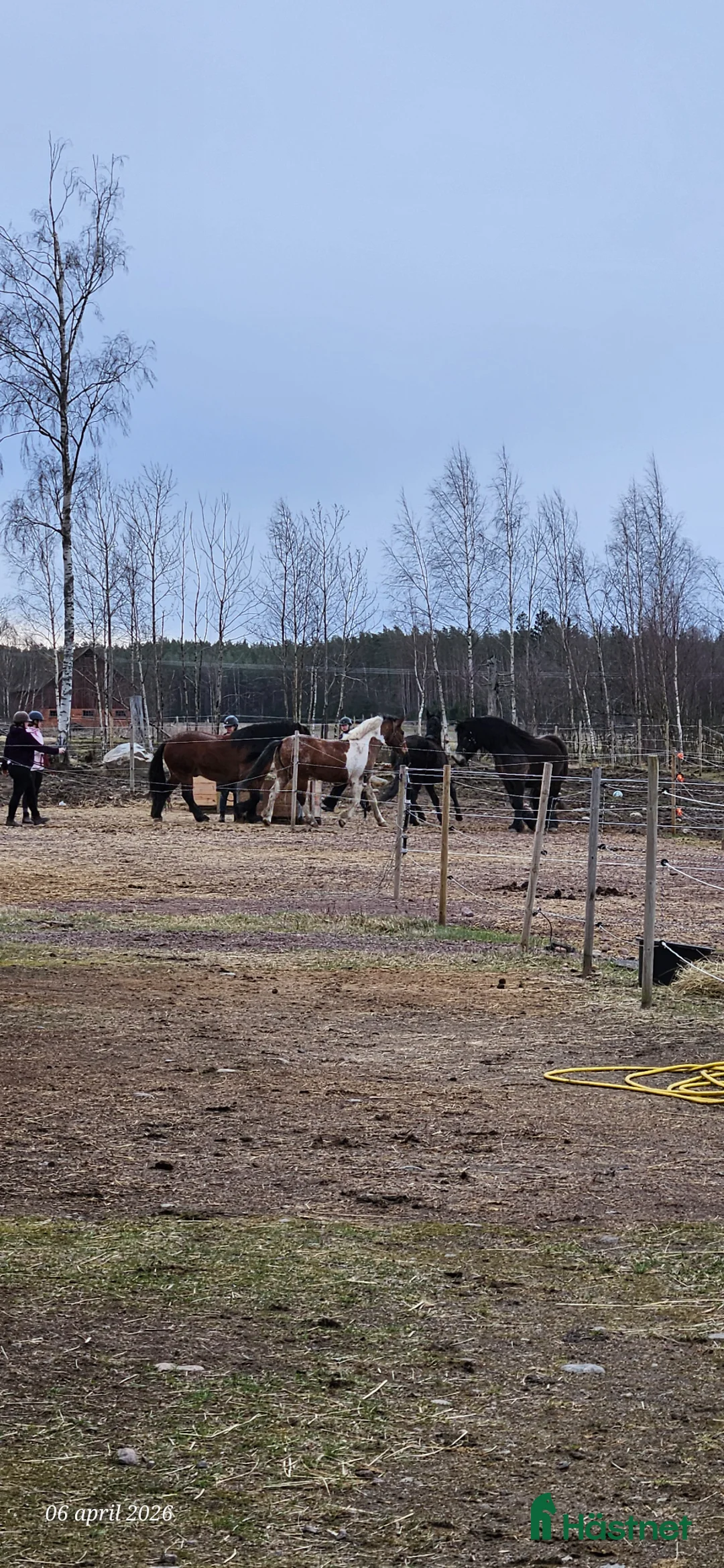 Galleribild {{count}}