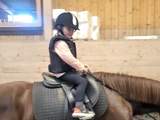 foderhäst Barnponny på foder ev för senare köp i Järbo - Annons 6