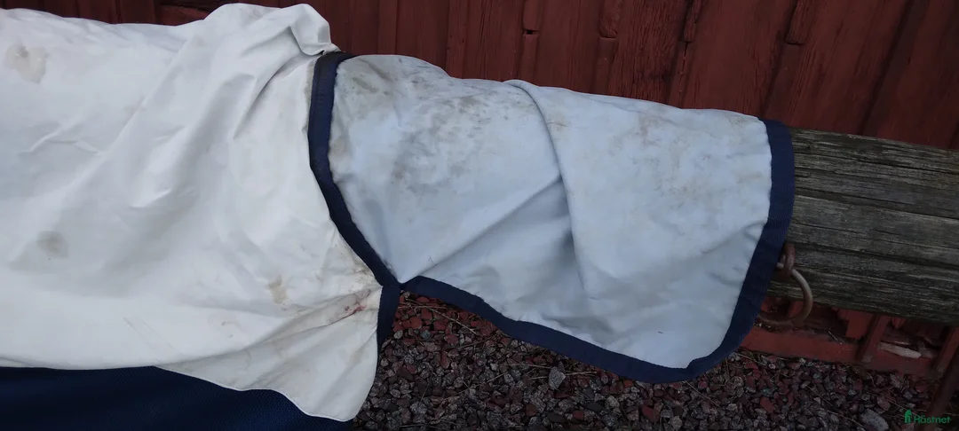 Täcken hästutrustning till salu: Summer Series stl 145 - Annons 5