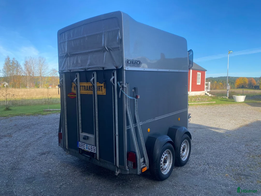 Hästtransporter  fordon & transport till salu: Böckmann Duo Hästtransport - Annons 5