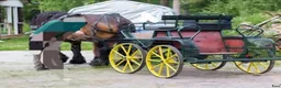 Körvagnar körning till salu: Tidaholm maratonvagn  - Annons 1