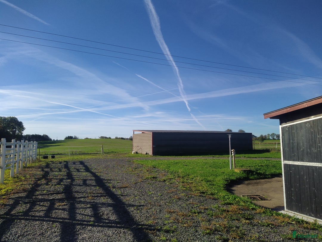  stallplats finnes: Hästboxar att hyra på en fantastisk tomt.  i Tomelilla - Annons 18