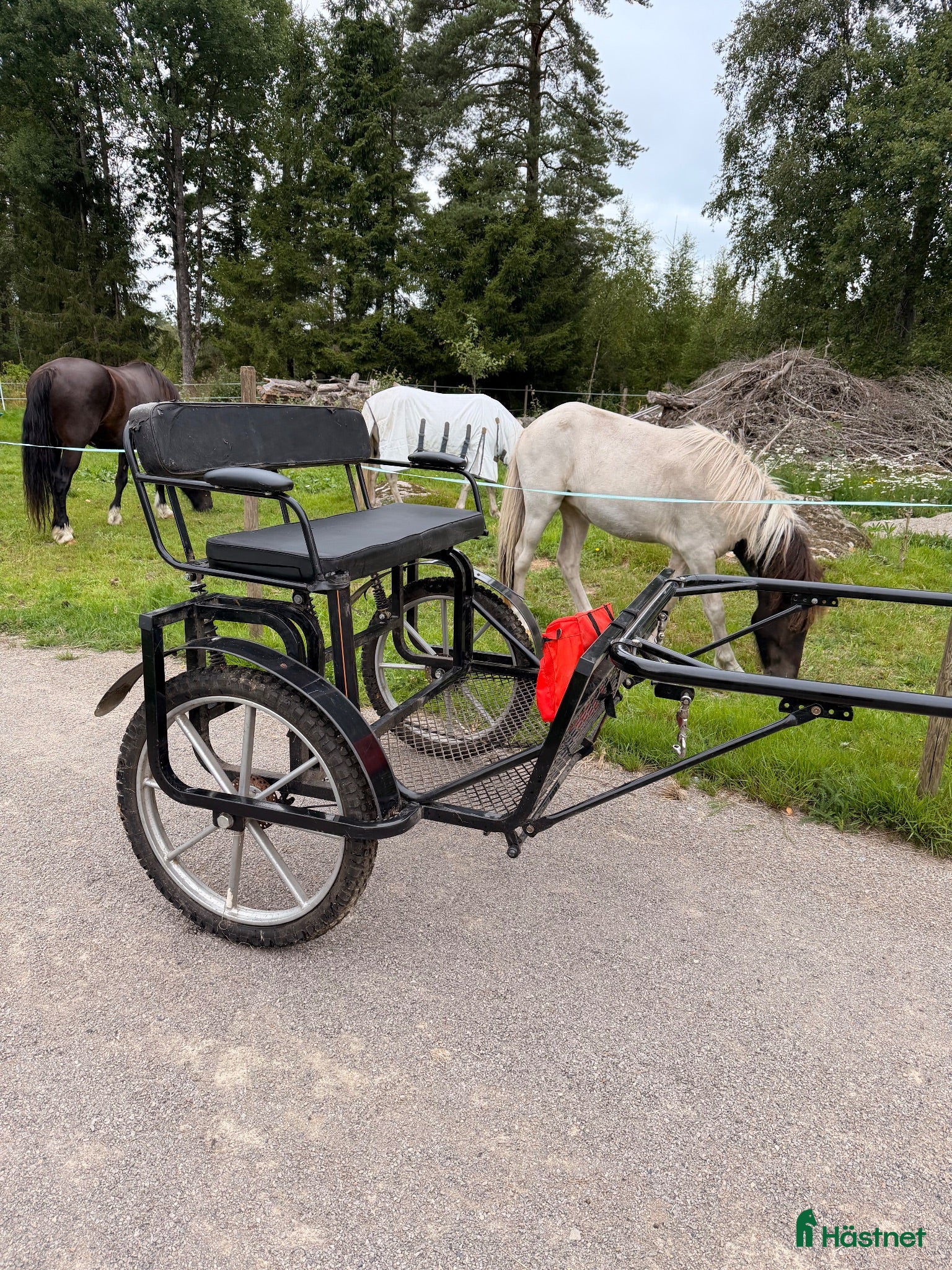 Körvagnar körning till salu: Robust hästvagn/rockard/sulky fotbroms & fjädring - Annons 1
