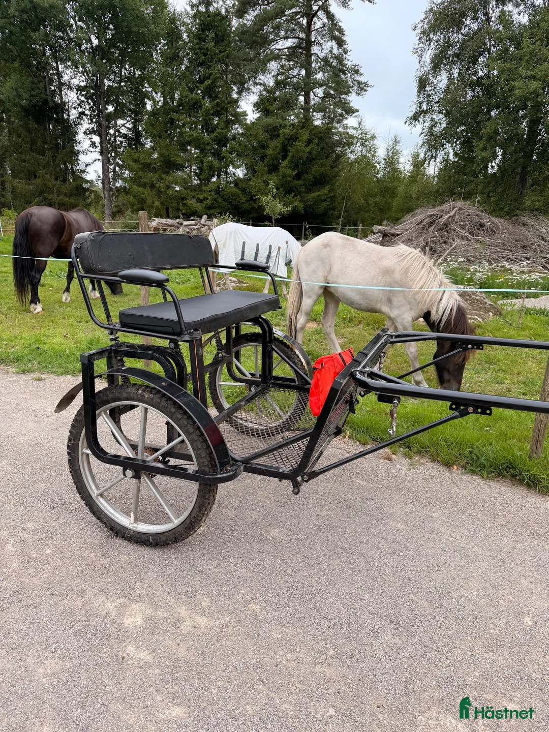Körvagnar körning till salu: Robust hästvagn/rockard/sulky fotbroms & fjädring - Annons 1