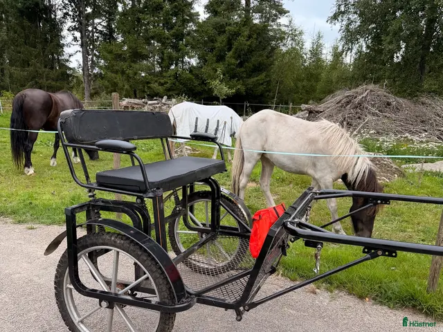 Körvagnar körning till salu: Robust hästvagn/rockard/sulky fotbroms & fjädring - Annons 1