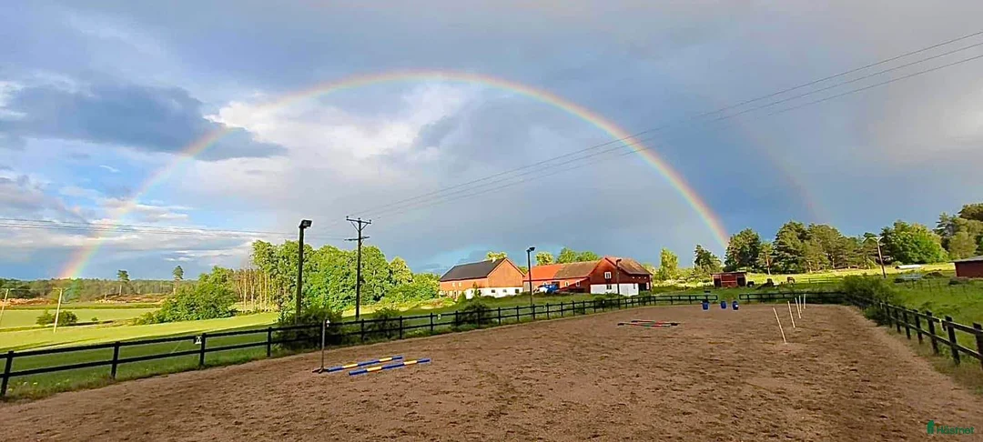  stallplats finnes: Lösdrift för dig som vill träna med dig häst - Annons 1