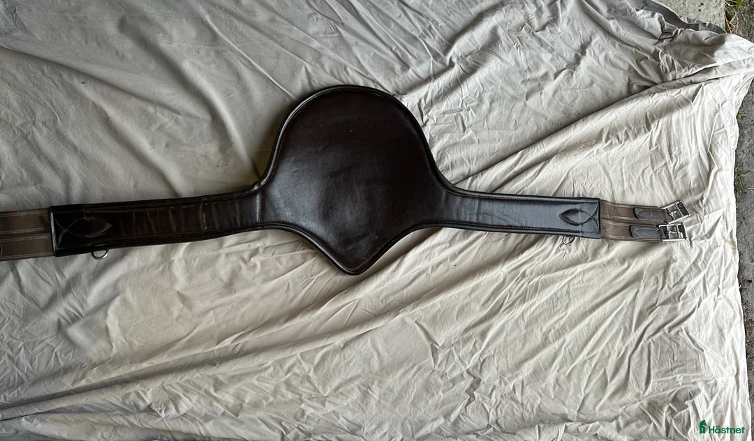 Sadeltillbehör hästutrustning till salu: Magplatta i Kristianstad - Annons 3