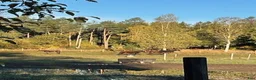  stallplats finnes: Lösdriftsplats finnes - Annons 8