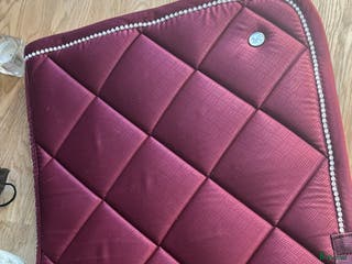 Schabrak & Vojlockar hästutrustning till salu: Ps of sweden storlek cob i Töreboda - Annons 8