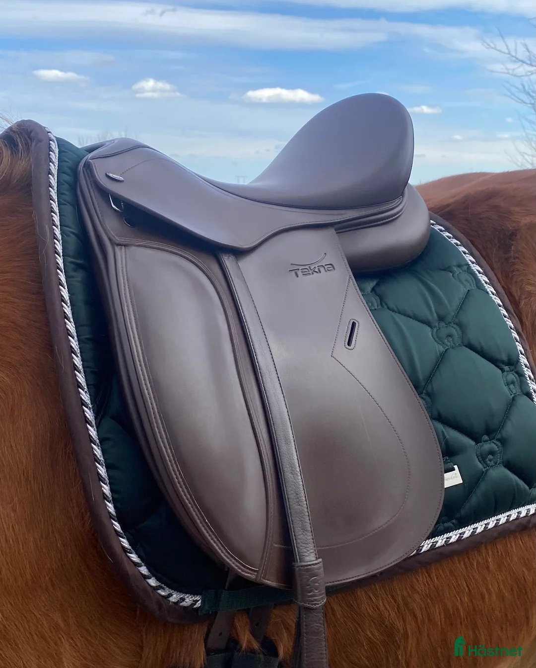 Sadlar hästutrustning till salu: Tekna s-line dressyr  i Motala - Annons 1