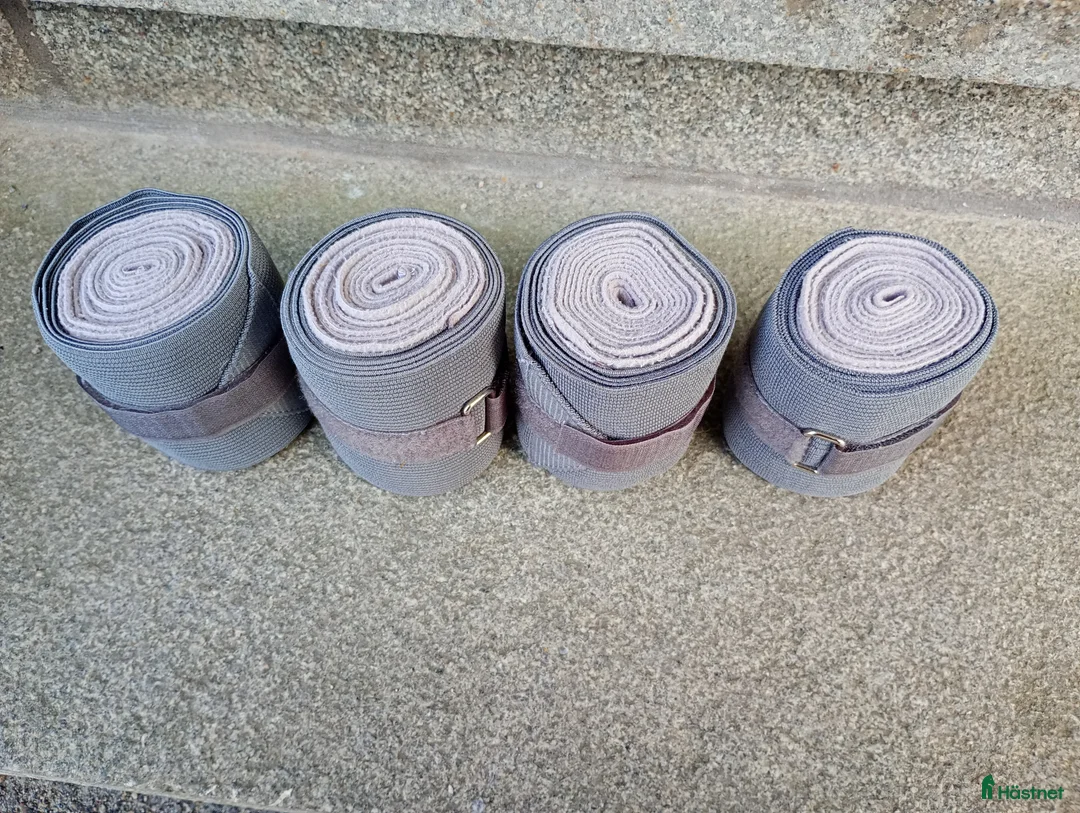 Övrig Hästutrustning hästutrustning till salu: Lindor  - Annons 2