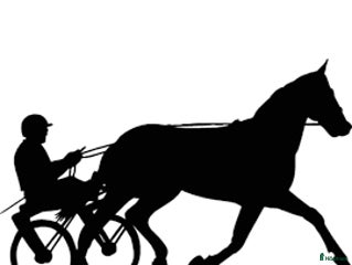 hästar Starthäst sökes för leasingköp i Kramfors - Annons 3