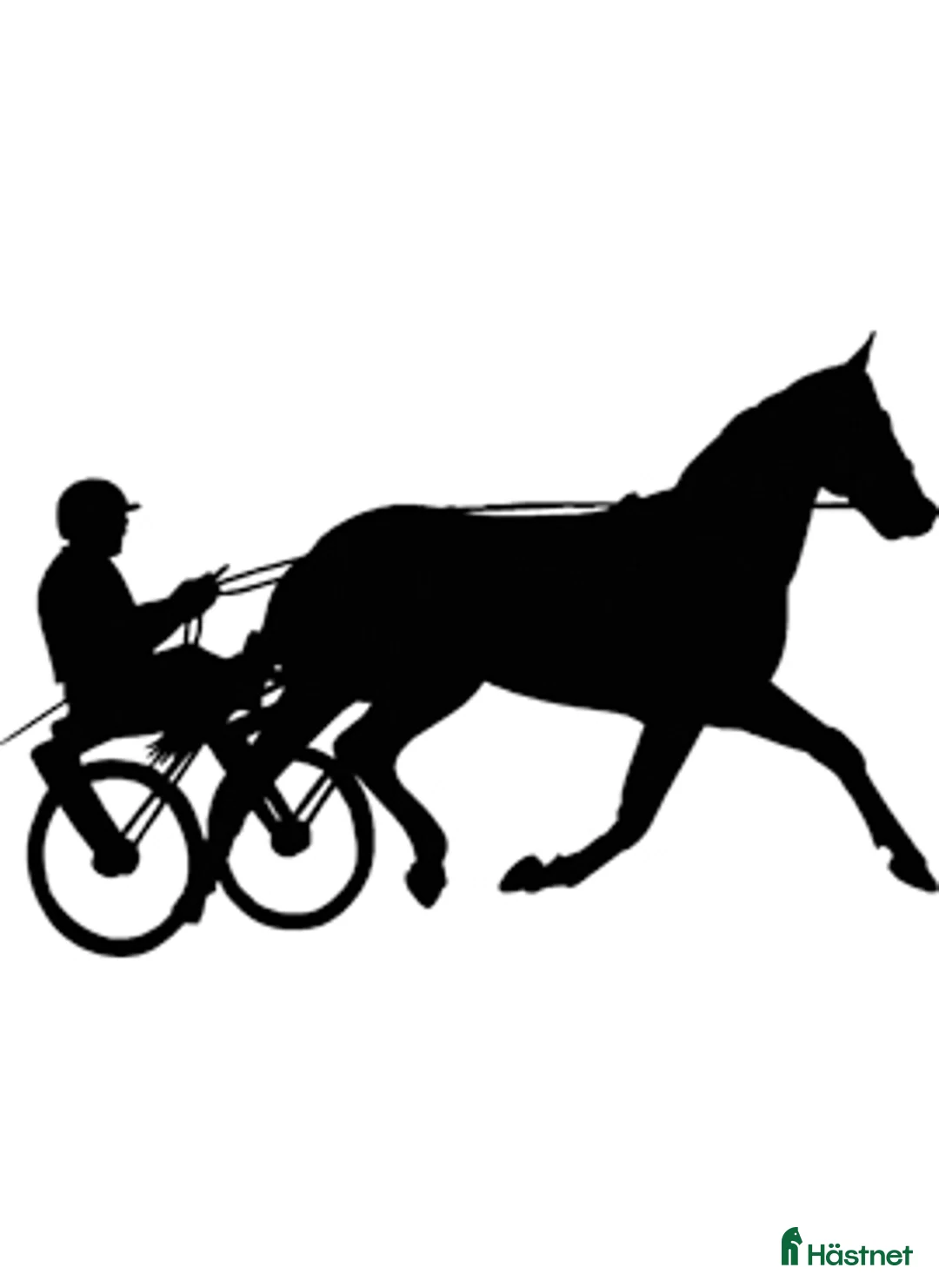 Trav hästar sökes: Starthäst sökes för leasingköp  - Annons 1