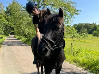 medryttarhäst finnes: Söker Medryttare till C ponny i Åsa/Frillesås! i Frillesås - Annons 22