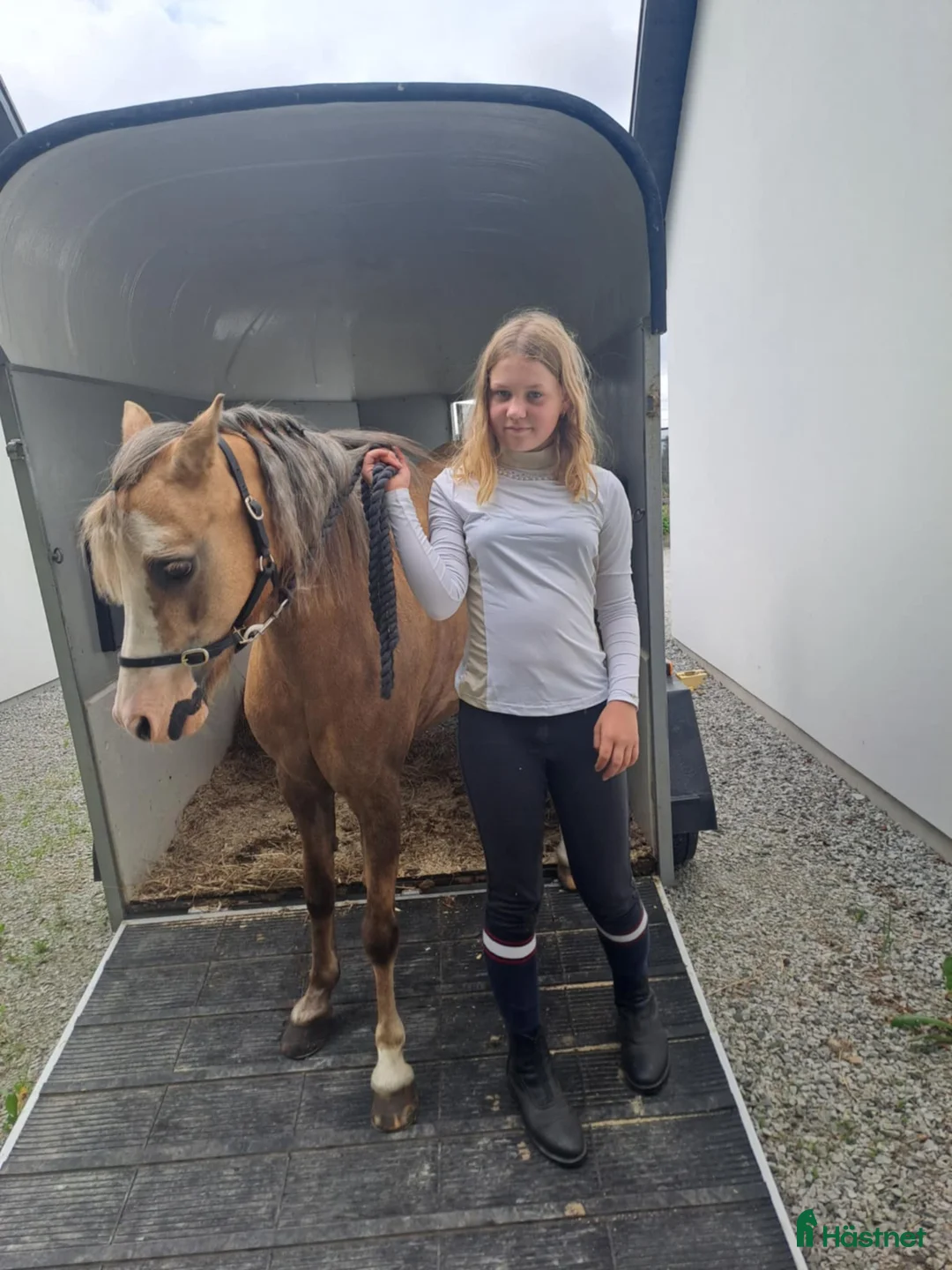 Hoppning hästar till salu: Nessie i Lund - Annons 1