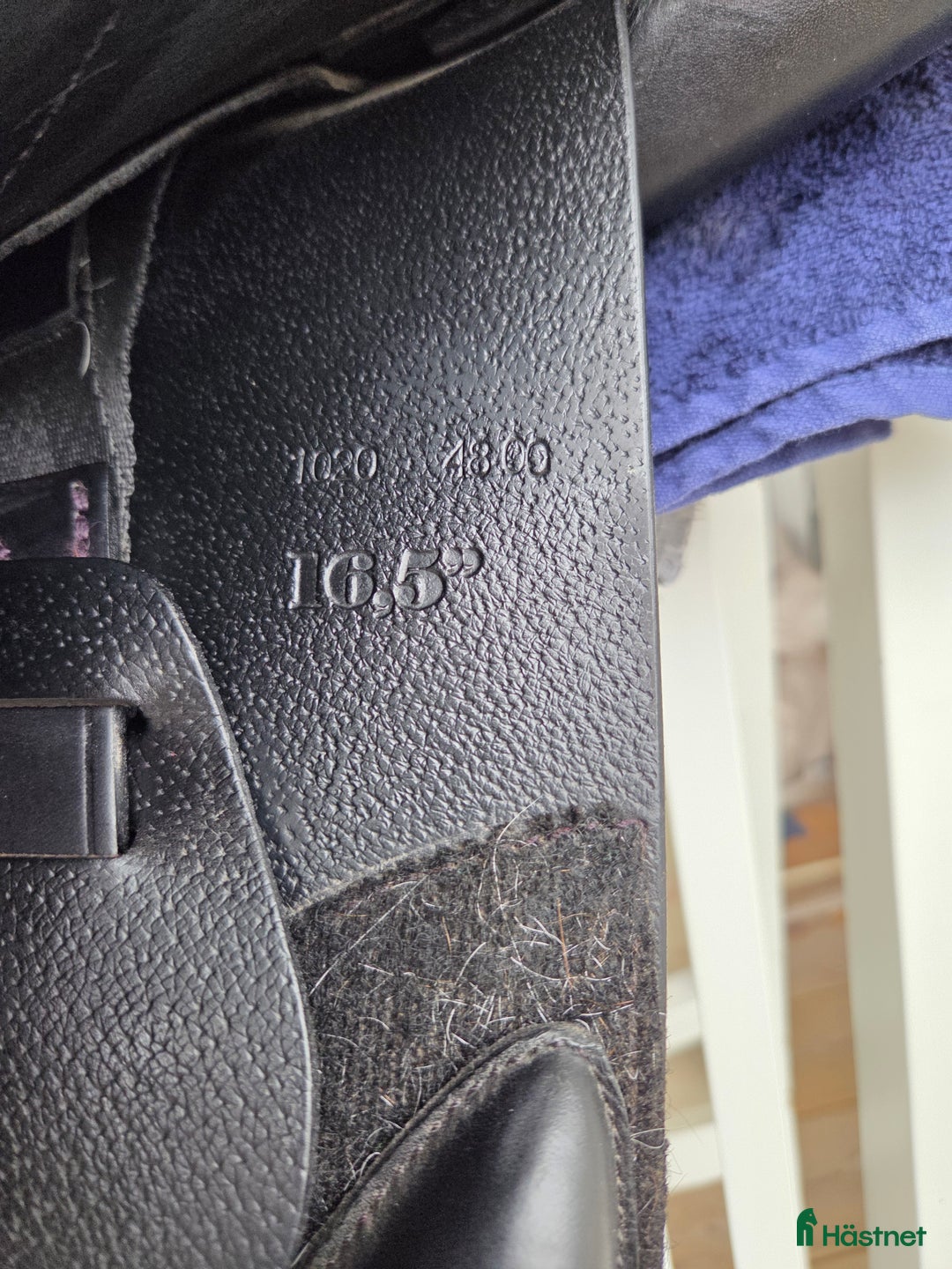 Sadlar hästutrustning till salu: Hoppsadel Santa Cruz Facundo  i Mariestad - Annons 8