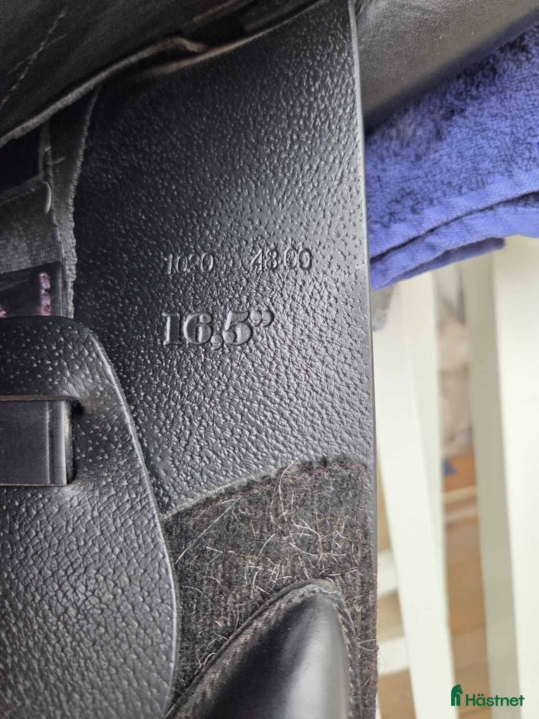 Sadlar hästutrustning till salu: Hoppsadel Santa Cruz Facundo  i Mariestad - Annons 8