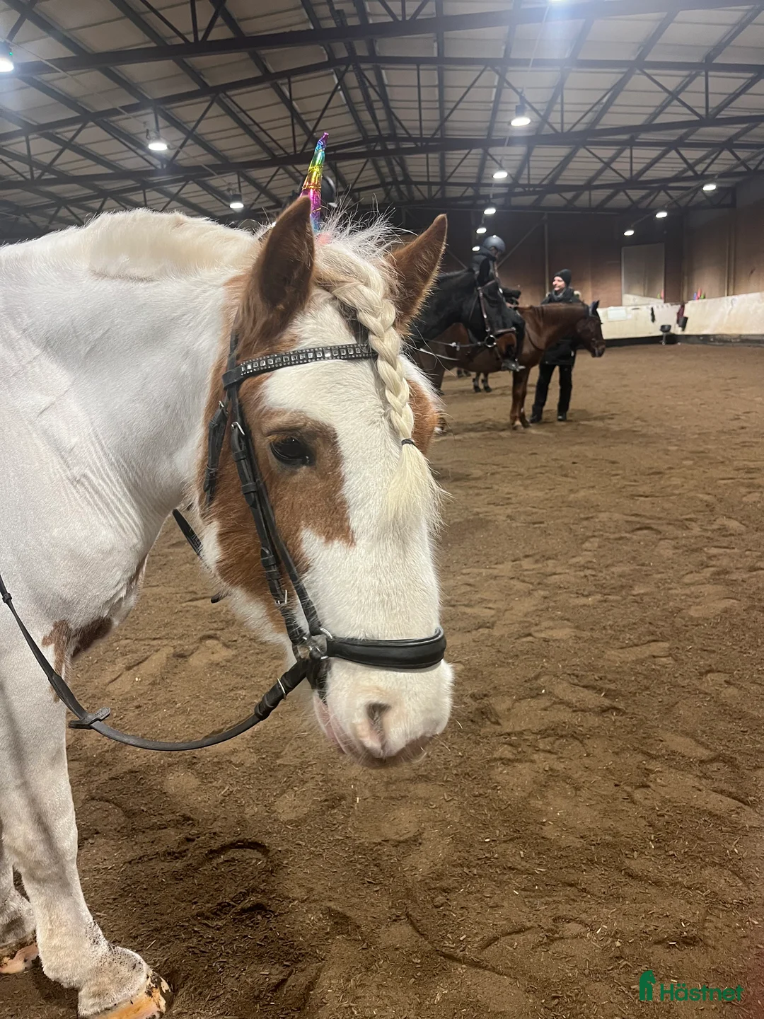  hästjobb finnes: Ledig tjänst  i Järfälla - Annons 1