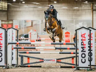 hästar Underbar hopphäst söker ny bästa vän🌟 i Kusmark - Annons 2