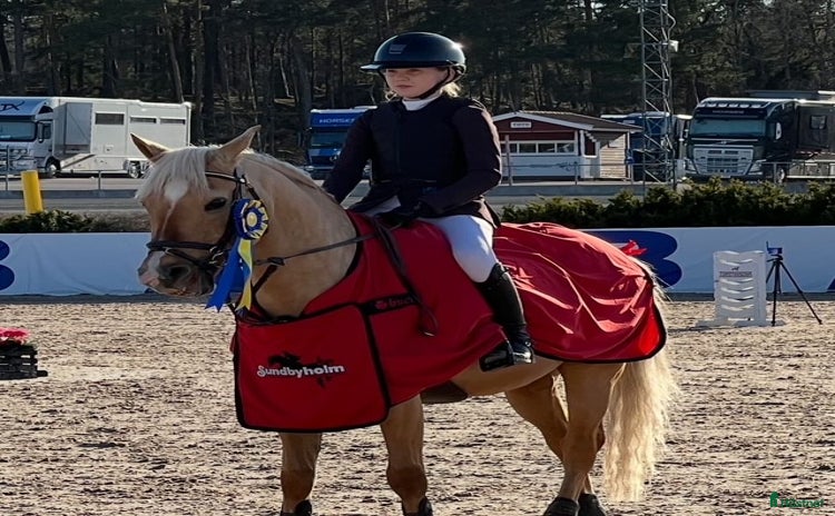  hästar i Saltsjö-Boo - Annons 13