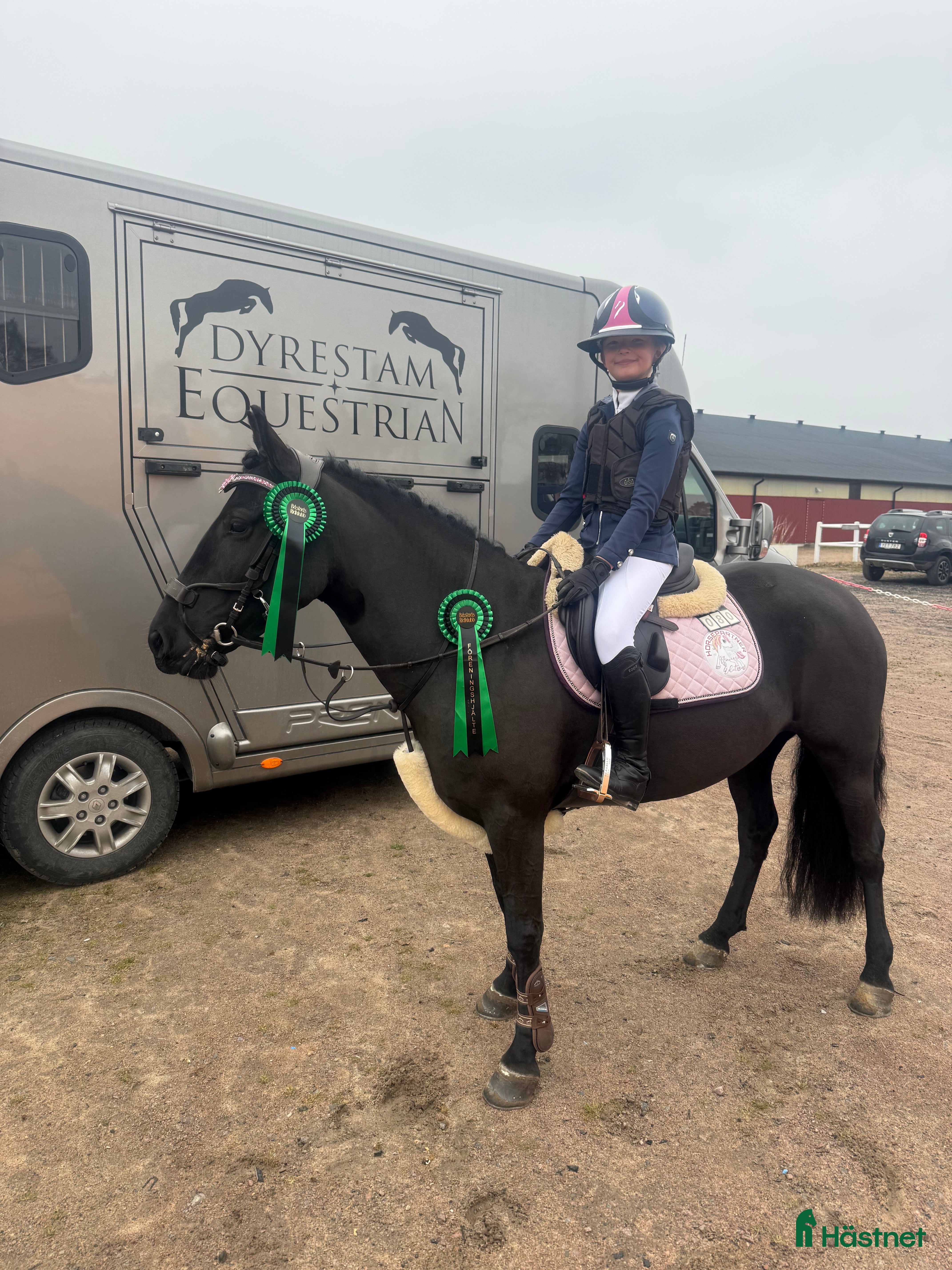  hästar Söker Maxad B-Ponny  i Munka-ljungby - Annons 1