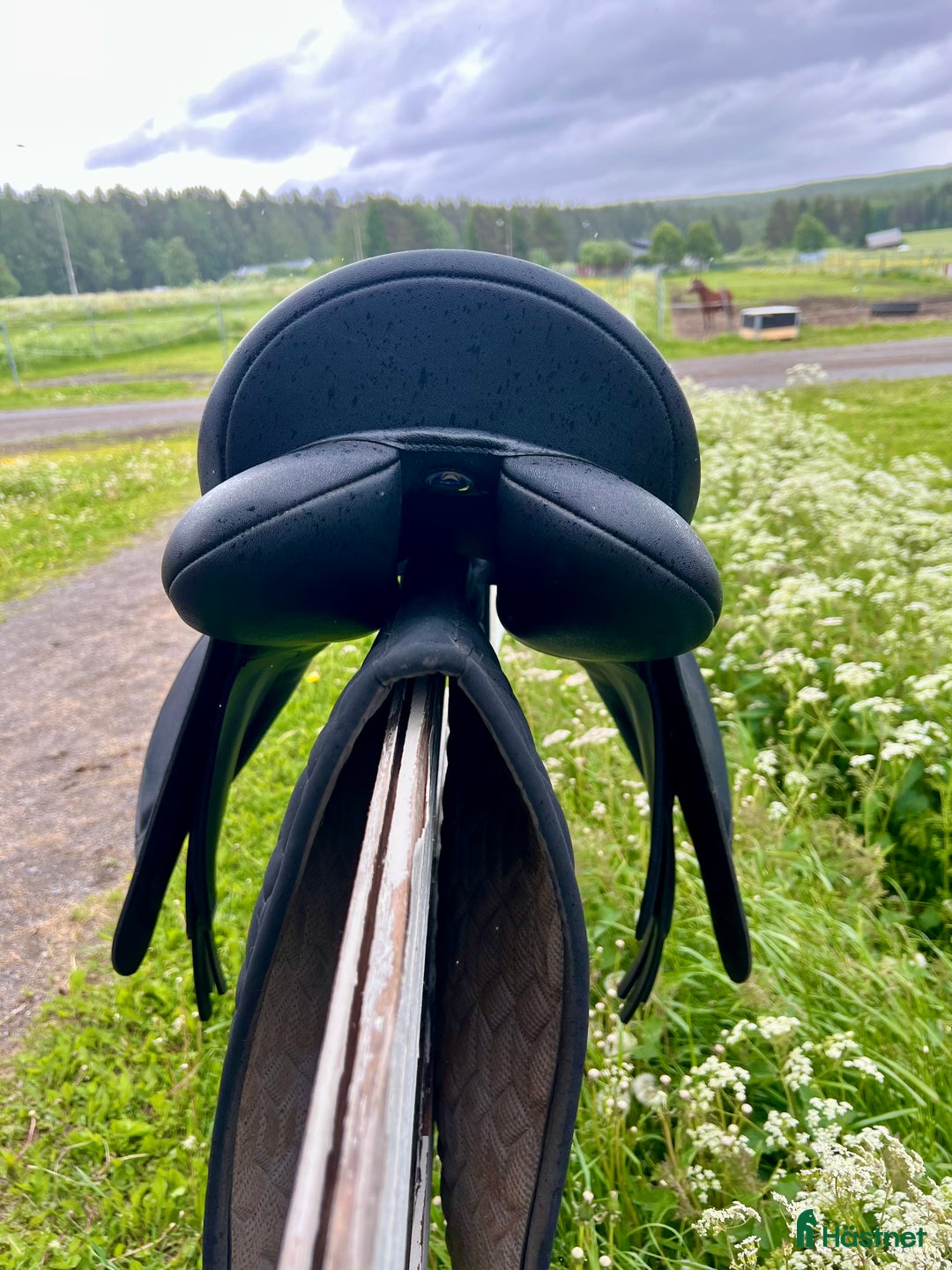 Sadlar hästutrustning till salu: Syntetsadlar i bra skick i Östersund - Bild 4