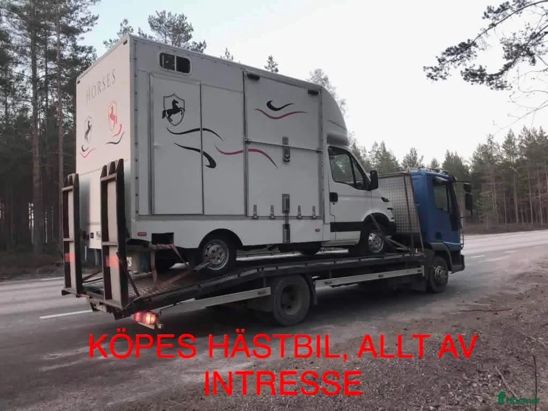 Hästlastbilar  fordon & transport till salu: 🆘🆘Köpes hästlastbil 🆘🆘 i Uppsala - Annons 1