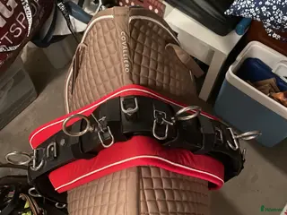 Sadlar hästutrustning Tömkörningsgjord - Annons 20