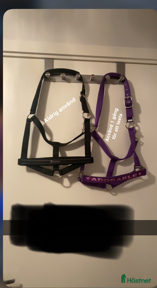 Övrig Hästutrustning hästutrustning till salu: Grimmor i Tumba - Annons 22