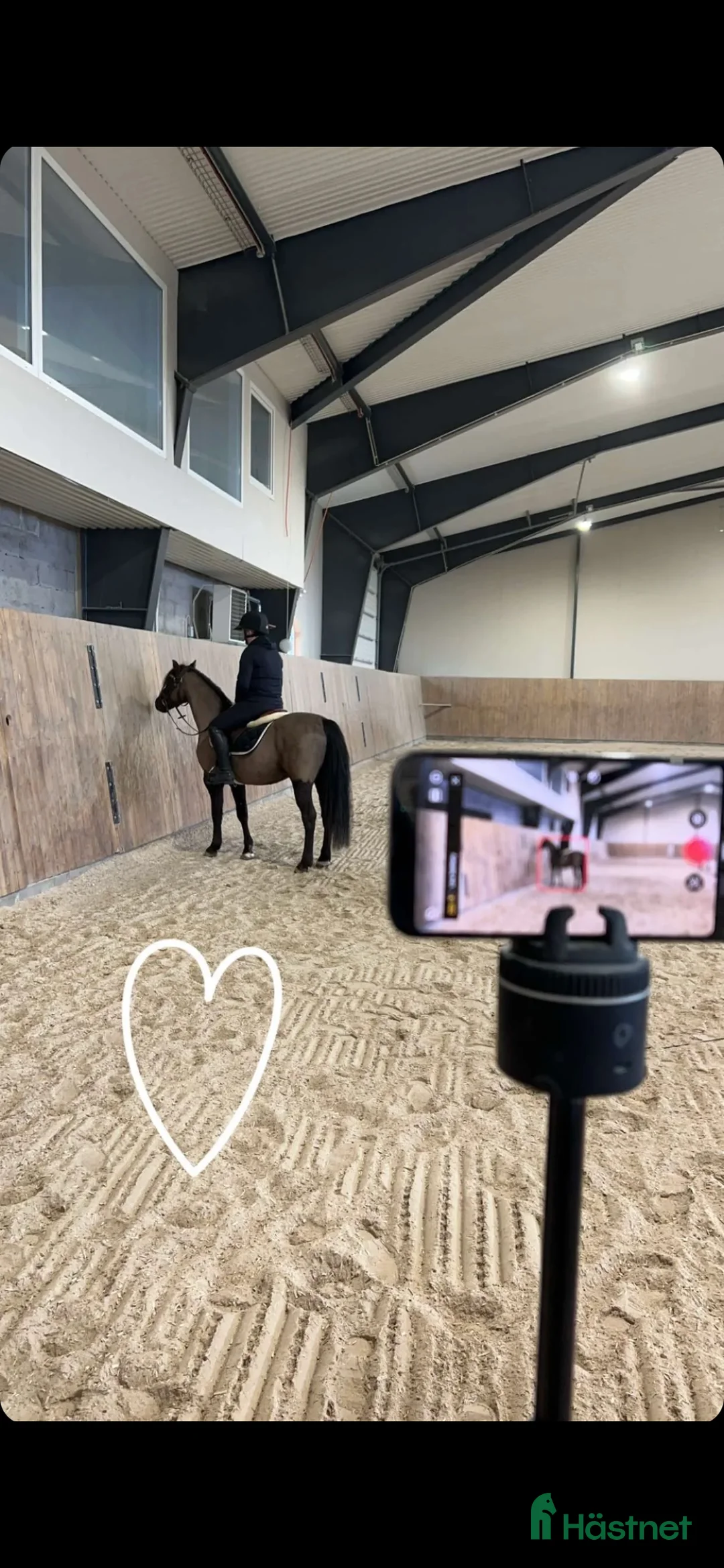  hästservice finnes: Ponny/liten storhäst utbildning  - Annons 3