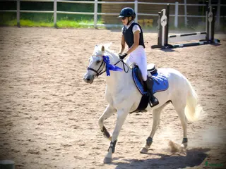 hästar Drömponny redo för nya äventyr 🦄 - Annons 2