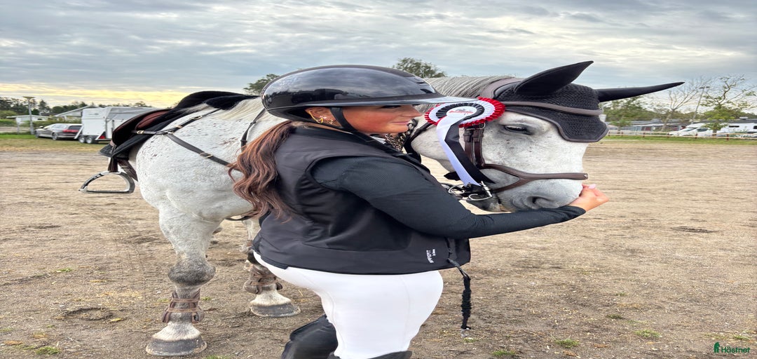 Galleribild {{count}}