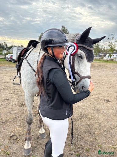 Galleribild {{count}}