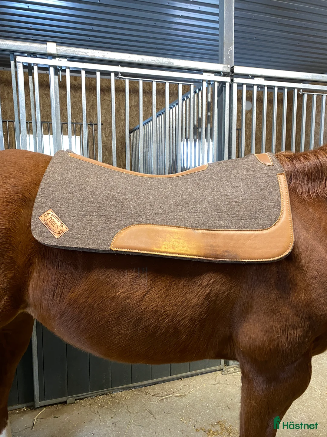 Sadeltillbehör hästutrustning till salu: Pool’s ullpad - Annons 1