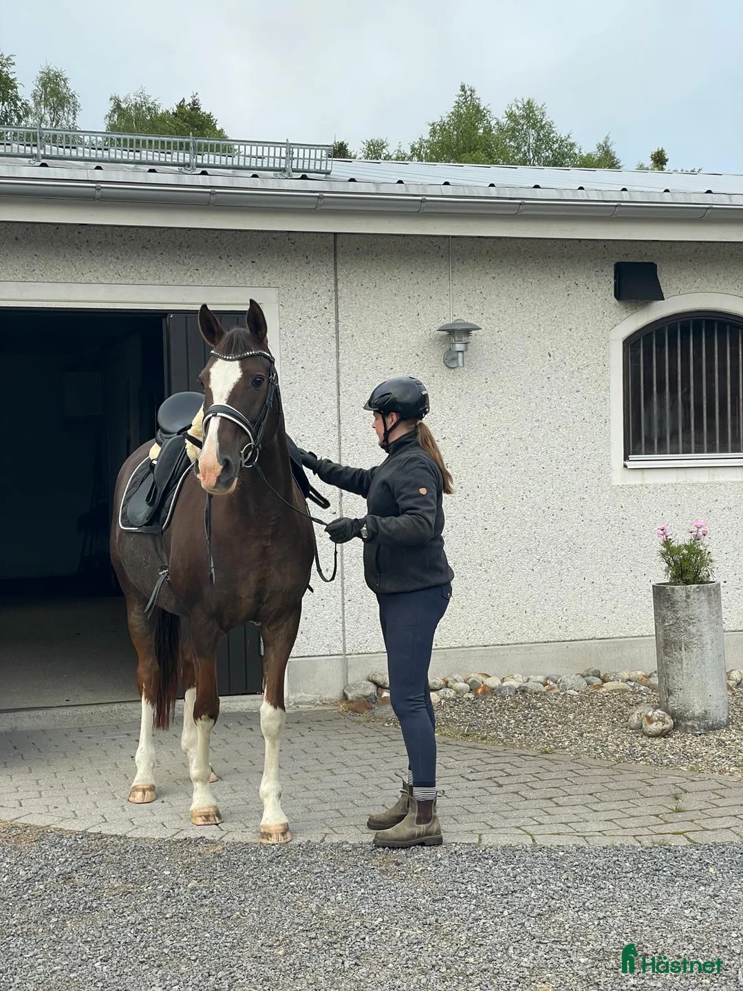  stallplats finnes: Stallplats i Umeå - Annons 5