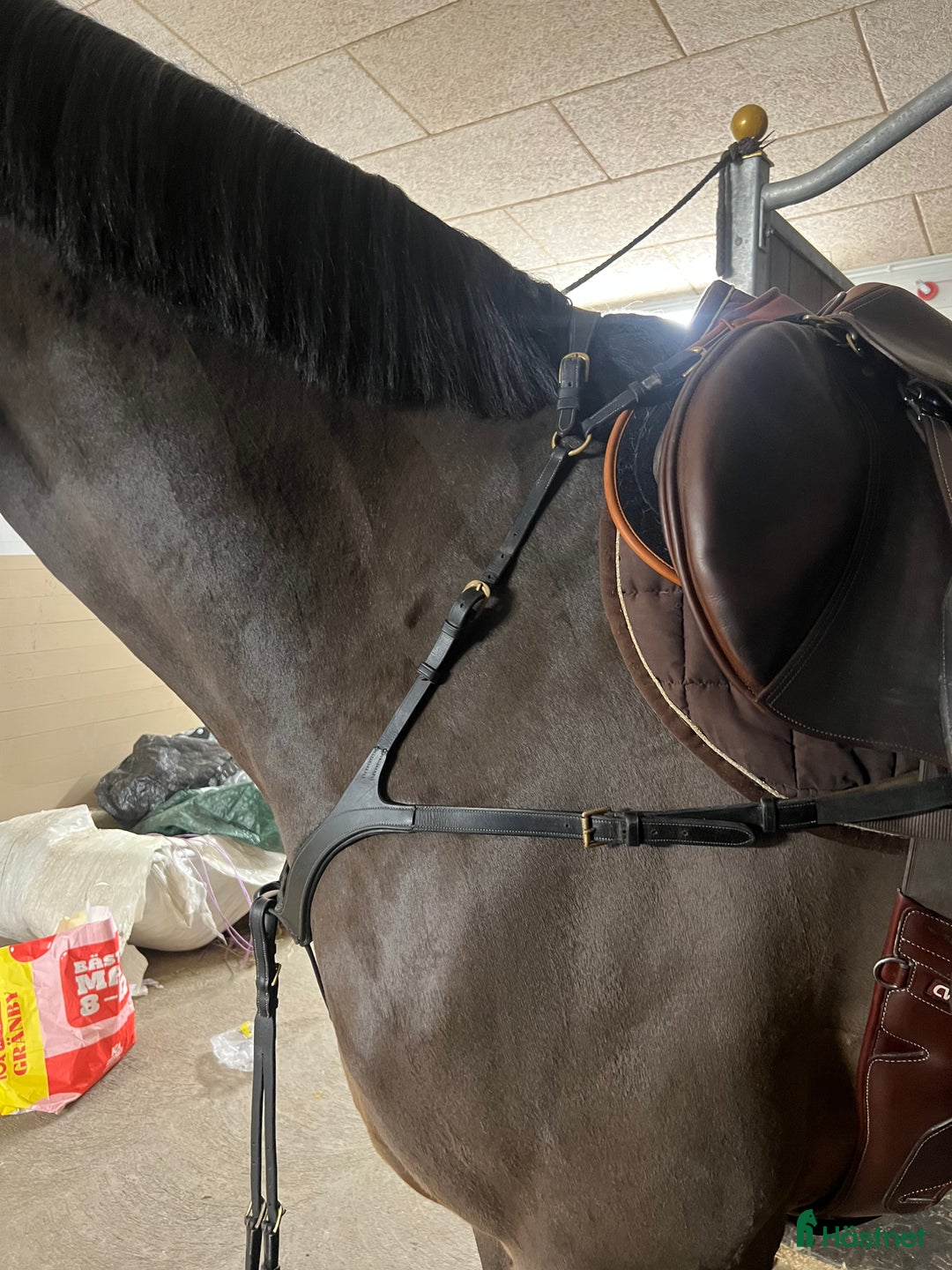 Övrig Hästutrustning hästutrustning till salu: Dyon 5-punkt förbygel i Uppsala - Annons 2