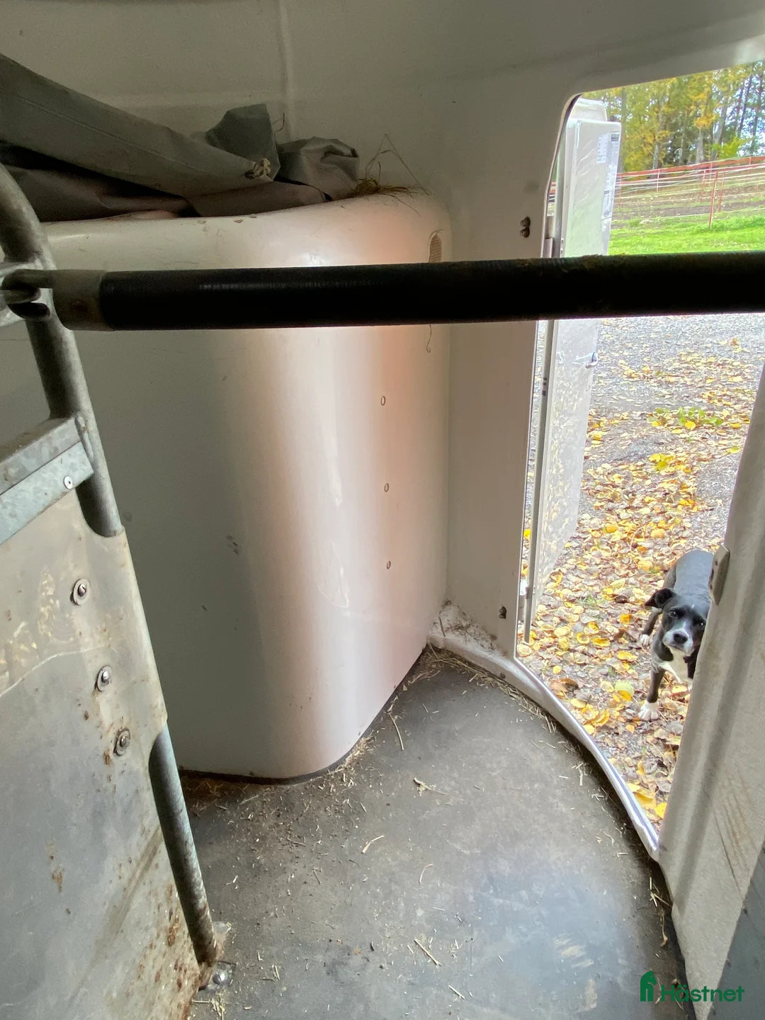 Hästtransporter  fordon & transport till salu: Böckman  - Annons 5