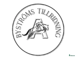 hästservice finnes: Inridning, Tillridning, tävling och försäljning i Fjärås - Annons 1