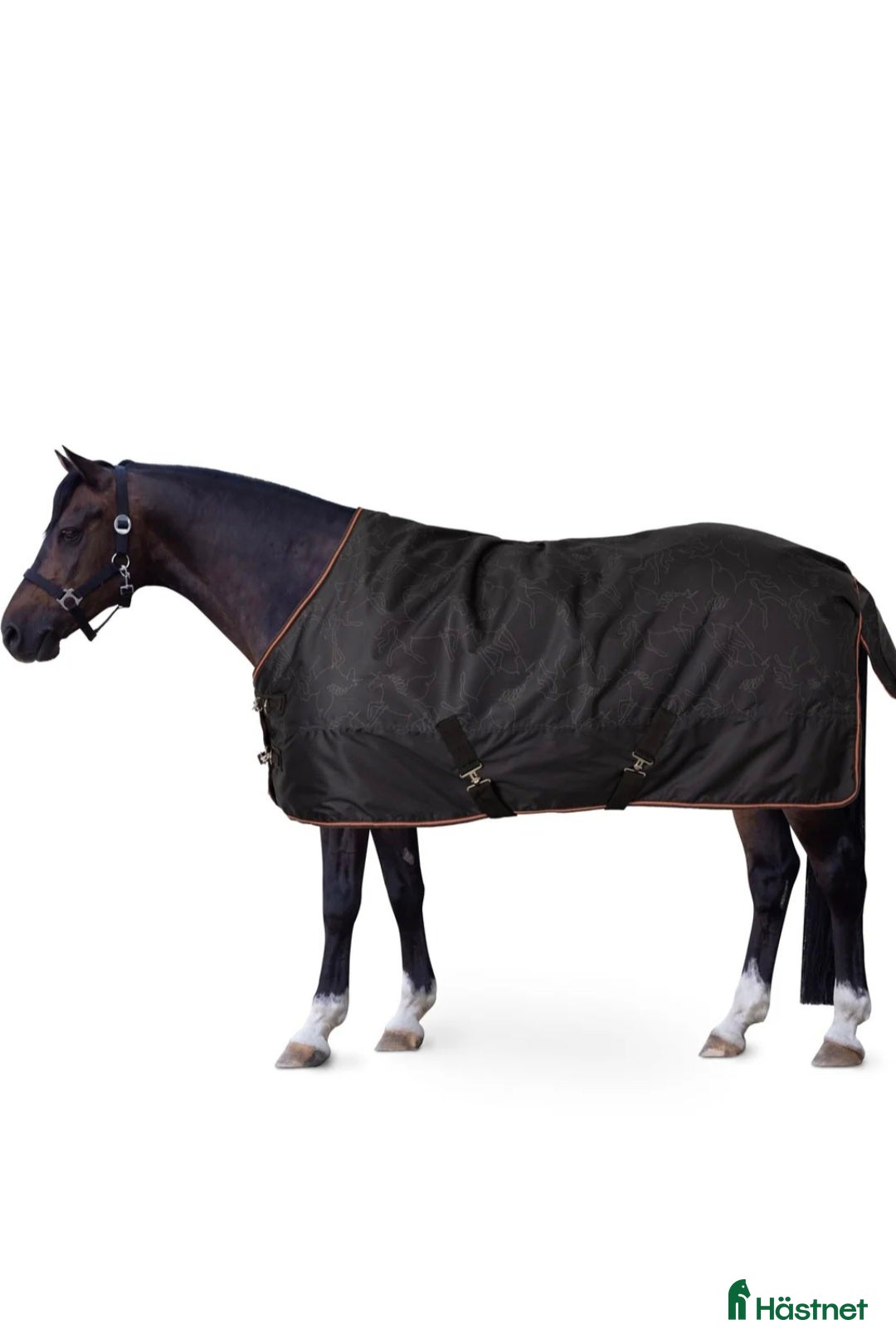 Täcken hästutrustning till salu: Pegasus täcke stl 105. 200gram i Falköping - Annons 1