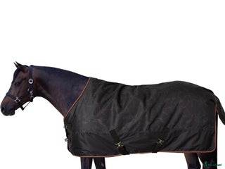 Täcken hästutrustning till salu: Pegasus täcke stl 105. 200gram i Falköping - Annons 3